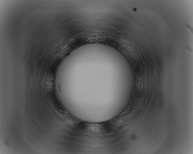 X0000091680226200709131554