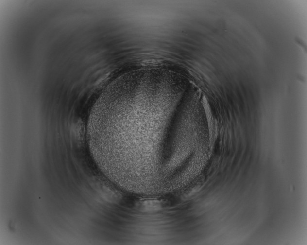 X0000091680228200709131554