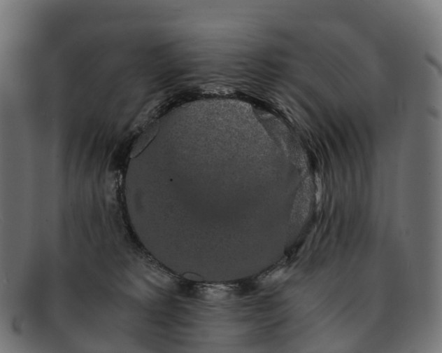 X0000091680229200709131554