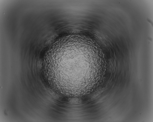 X0000091680230200709131554