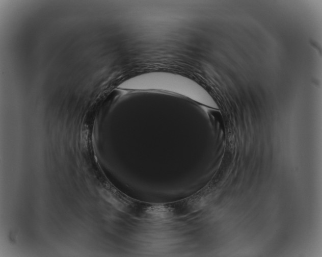 X0000091680231200709131554