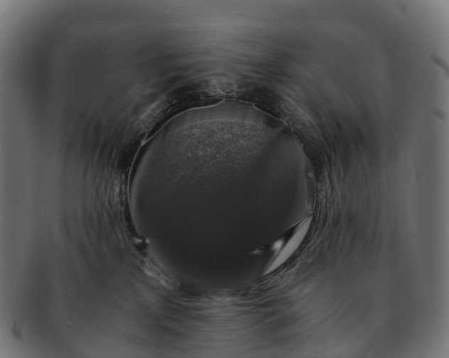 X0000091680233200709131554