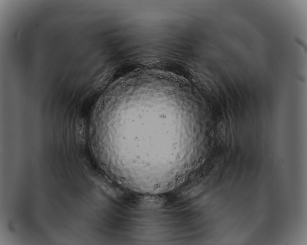 X0000091680234200709131554