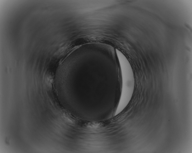 X0000091680235200709131554