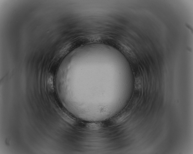 X0000091680238200709131553