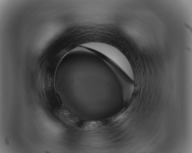 X0000091680239200709131553