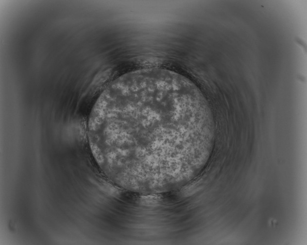 X0000091680240200709131553