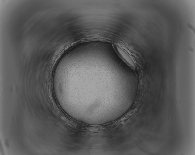 X0000091680241200709131553