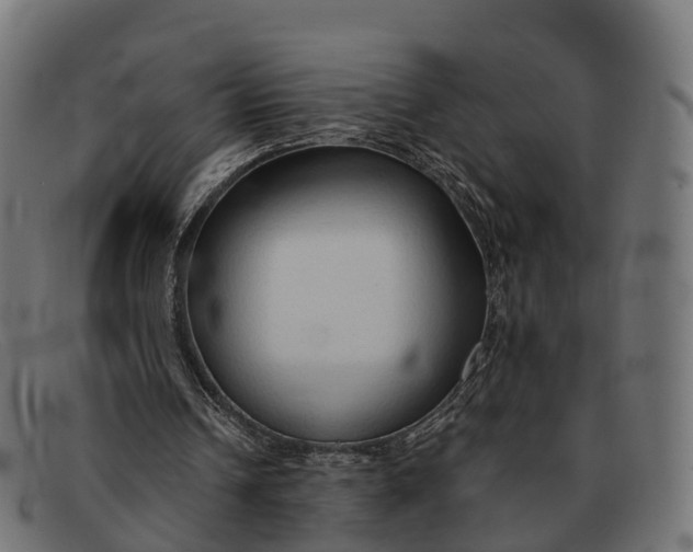 X0000091680242200709131553