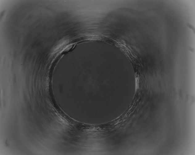 X0000091680243200709131553