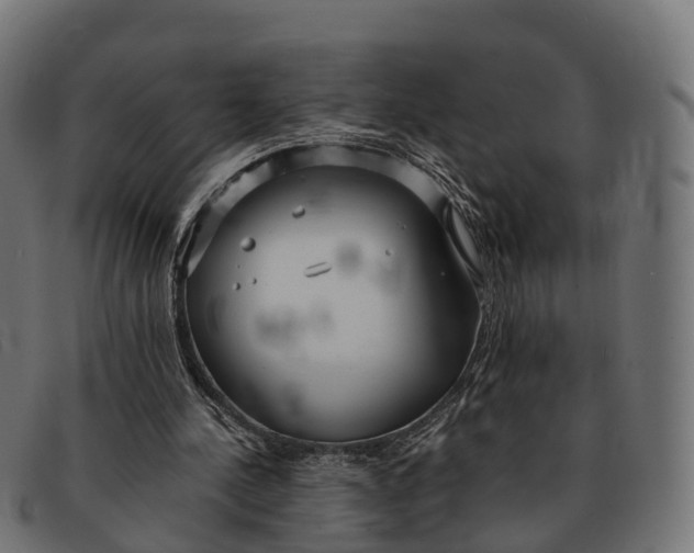 X0000091680244200709131553