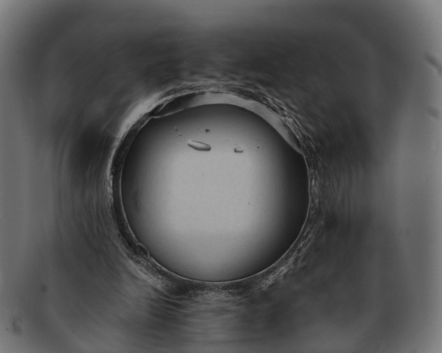 X0000091680246200709131553