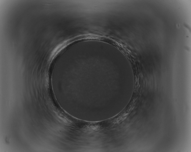 X0000091680247200709131553