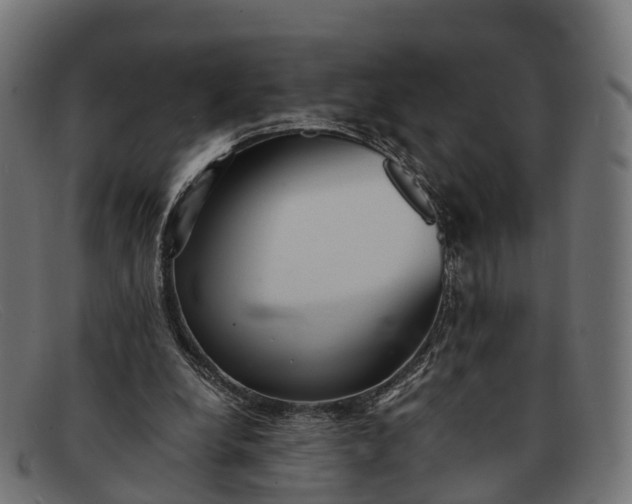 X0000091680248200709131553