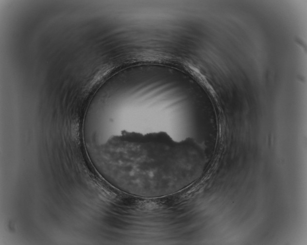 X0000091680249200709131553