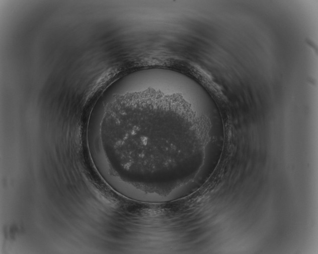 X0000091680250200709131553