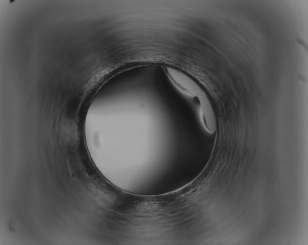 X0000091680252200709131553