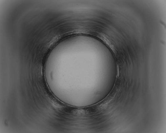 X0000091680253200709131553