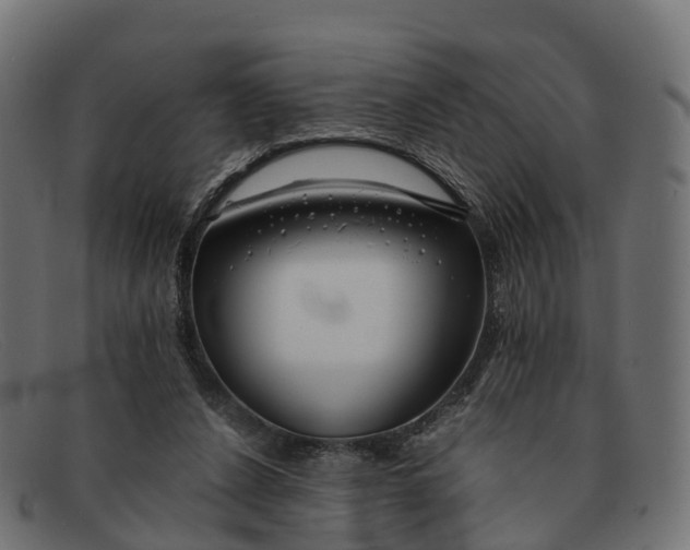 X0000091680256200709131553