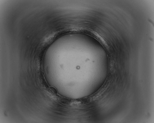 X0000091680257200709131553