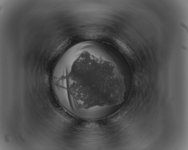 X0000091680258200709131553