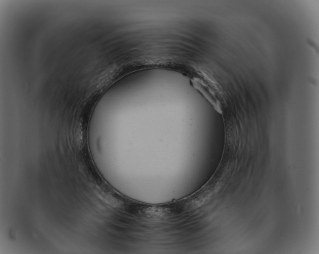 X0000091680261200709131553