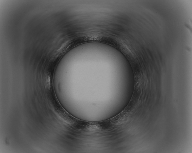 X0000091680262200709131553