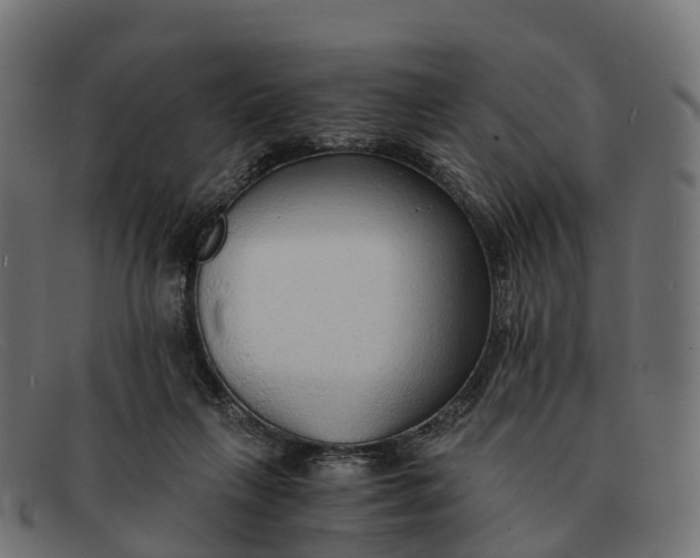 X0000091680263200709131553