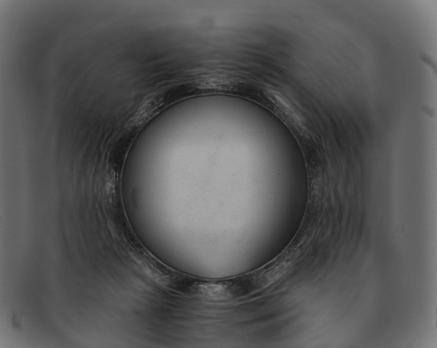 X0000091680265200709131553