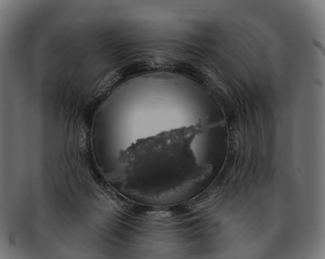 X0000091680266200709131553