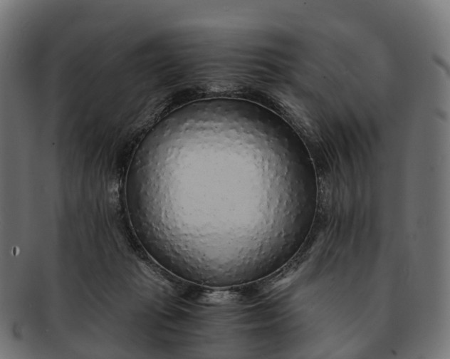 X0000091680269200709131553