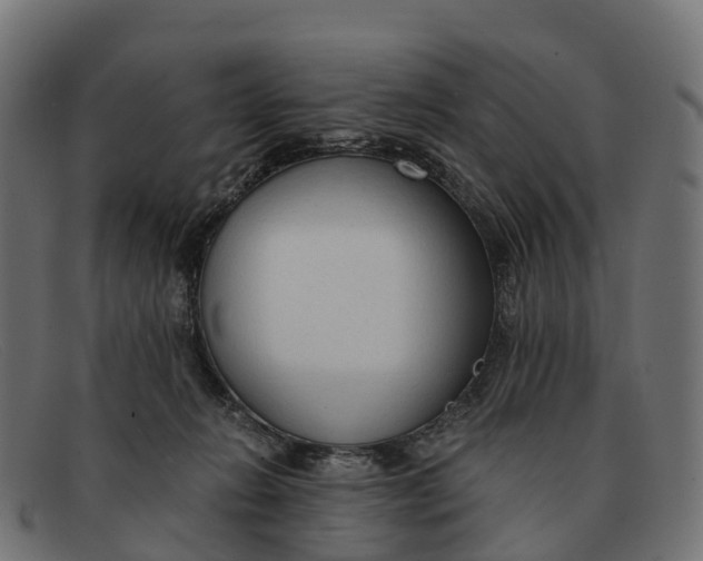 X0000091680270200709131553