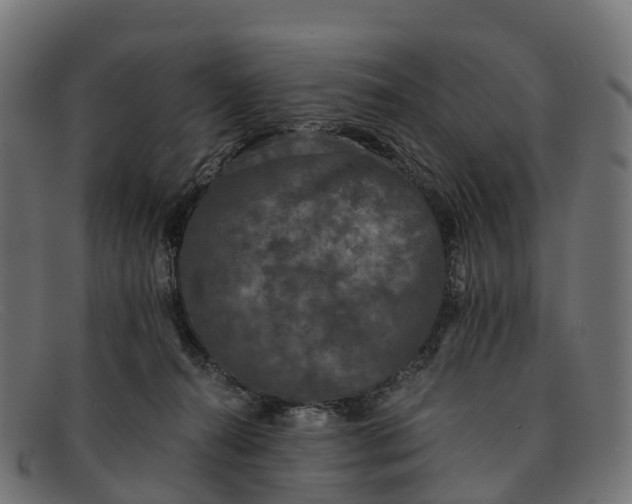 X0000091680272200709131553