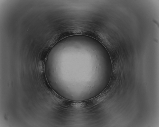 X0000091680273200709131553