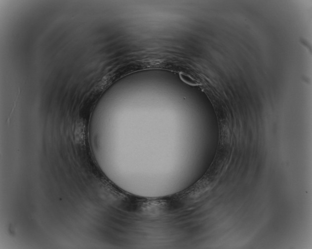 X0000091680274200709131553