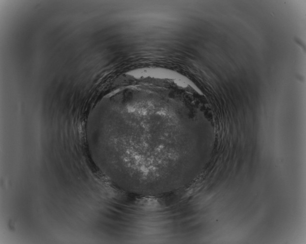 X0000091680276200709131553