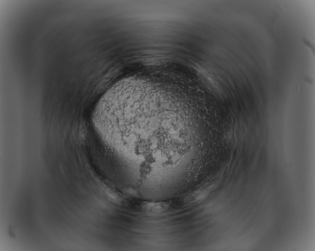 X0000091680277200709131553