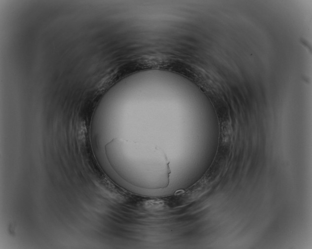 X0000091680279200709131553