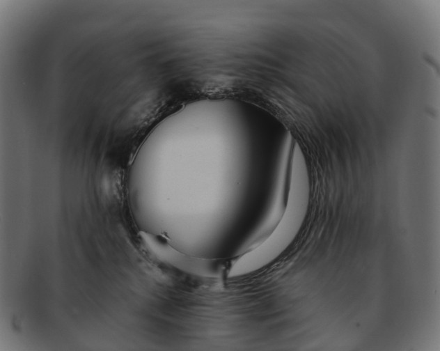 X0000091680280200709131553