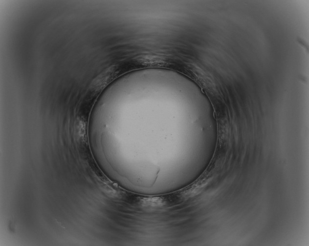 X0000091680281200709131553