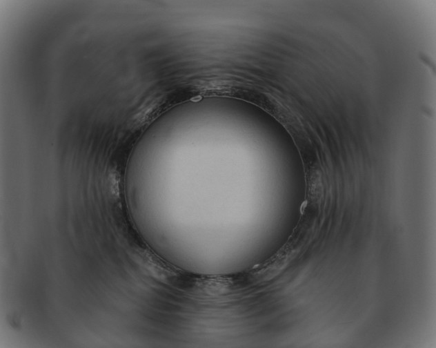 X0000091680282200709131553