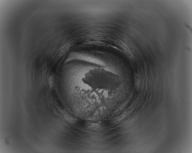 X0000091680285200709131553