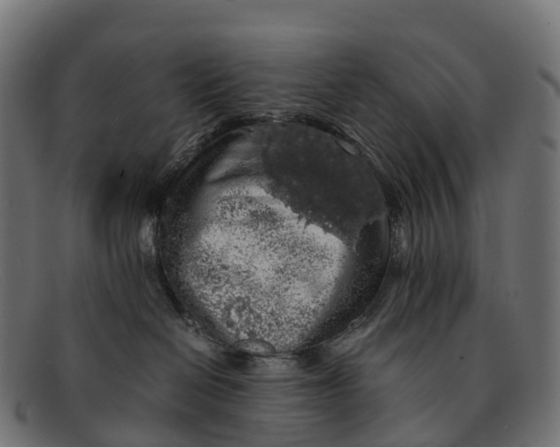 X0000091680286200709131553