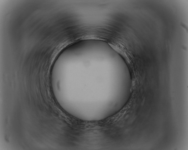 X0000091680289200709131553