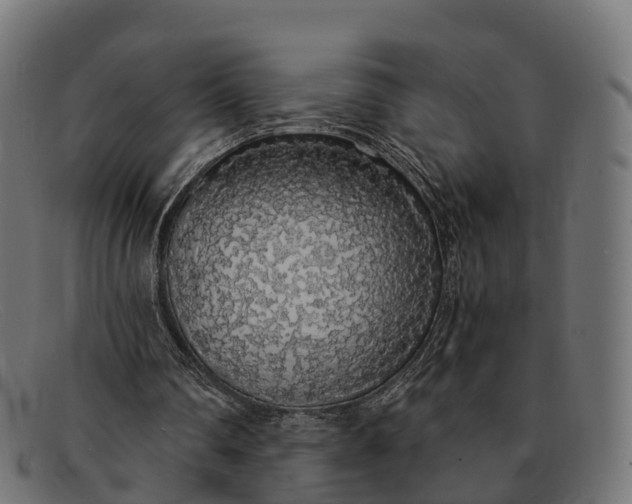 X0000091680290200709131553