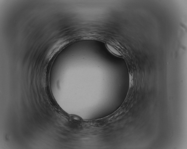 X0000091680291200709131553