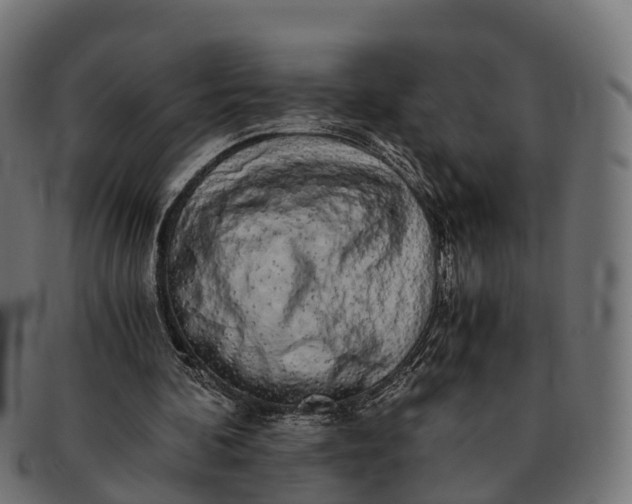 X0000091680292200709131553