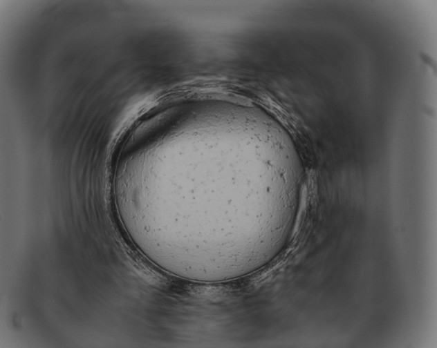 X0000091680293200709131553