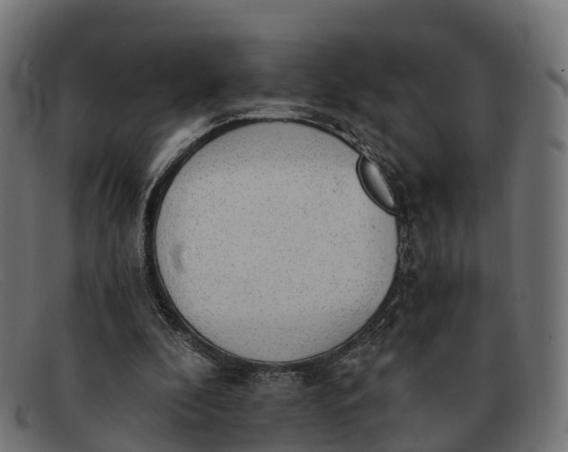 X0000091680296200709131553