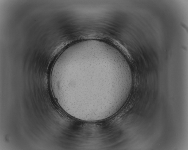 X0000091680298200709131553